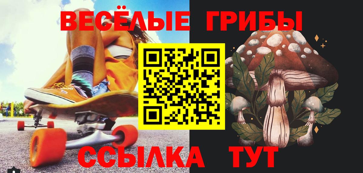 Чапаевск  Галлюциногенные грибы Cubensis  Вход с VPN 